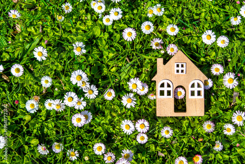 Wallpaper Mural The symbol of the house stands among white daisies
 Torontodigital.ca