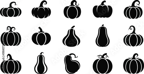 Collection of fifteen black pumpkin and squash on white background gourd symbol silhouette