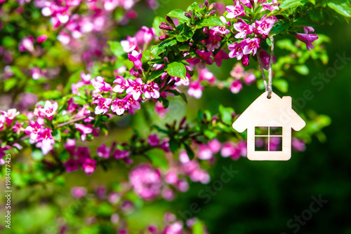 Wallpaper Mural The symbol of the house among the branches of the pink weigela Torontodigital.ca