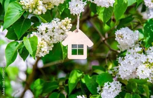 Wallpaper Mural The symbol of the house among the branches of the white lilac
 Torontodigital.ca