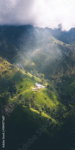 Morning sunbeams illuminating tea plantation in misty sri lanka mountains