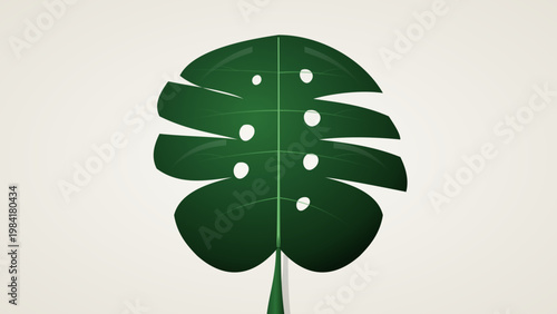 Vector Illustration of Monstera Deliciosa Leaf with Split and Holes Isolated