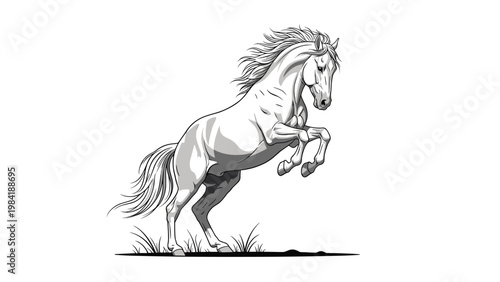 Magnificent white horse rearing up in a powerful and dynamic pose depicted in a detailed black and white graphic illustration style.