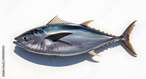 Vibrant Tuna Fish Displayed on White Surface, Aquatic Life, Ocean Creature, Seafood.
