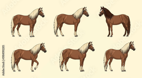 Collection of six illustrated Haflinger horses in side profile view, featuring chestnut coats and flaxen manes, shown in standing and walking poses with bridles on a plain background.
