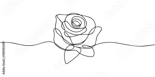 rose flower continuous one line drawing, Continuous one line drawing of rose flower vector illustration, Flower in continuous line art drawing style. Rose flower minimalist black linear design isolate
