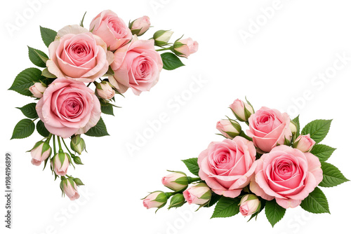 bouquet of pink roses on corner isolated on transparent