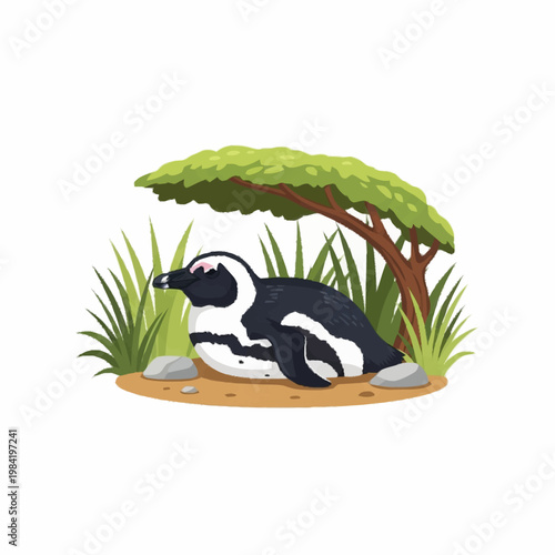 Illustration of an African penguin lying on the sand beneath a small green tree and tall grass, featuring black and white feathers, pink eye patches, and surrounding grey rocks.