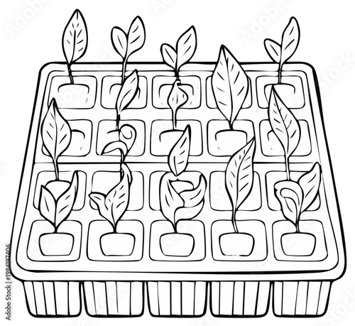 Seedling tray with small plants growing in individual cells for cultivation