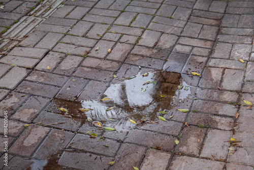 A puddle of water on the concrete paved road.