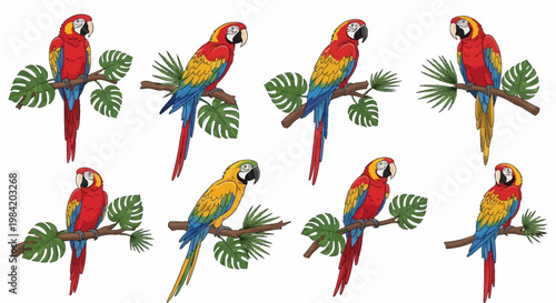 Set of eight colorful macaw parrot illustrations featuring scarlet and blue-and-gold species perched on branches with green monstera and palm leaves isolated on a white background.