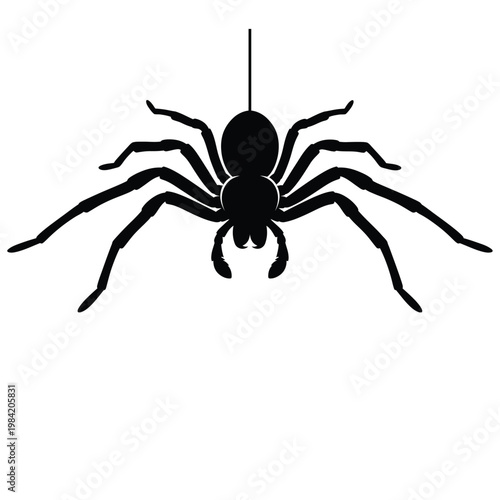 Hanging Spider Silhouette