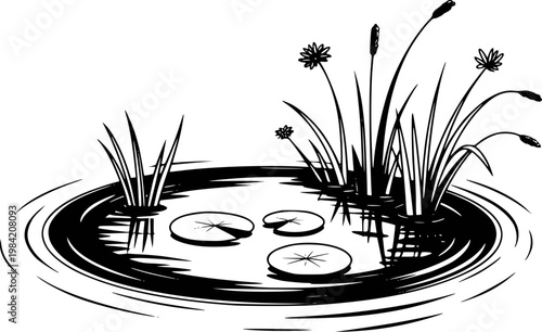 Black and white of a pond with lily pads and reeds white background, water