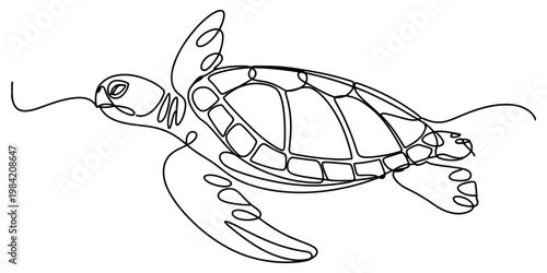 A minimalist single line drawing of a sea turtle swimming gracefully through the ocean water Vector, illustration
