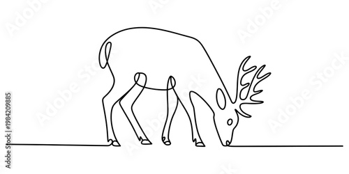A minimalist single line drawing of a majestic deer grazing on the ground in a clean white style Vector, illustration