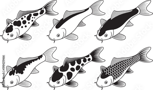 Koi fish vector set illustrating different pattern varieties for traditional japanese carp art style