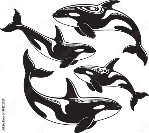 Orca whale vector illustration set featuring killer whales in various swimming and jumping positions
