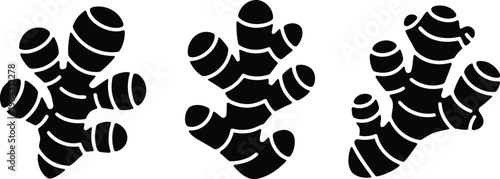 Black and white illustration of three turmeric roots with striking patterns