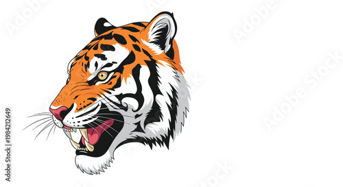 Detailed illustration of a tiger head showing sharp teeth and intense eyes against a white background for mascot design.