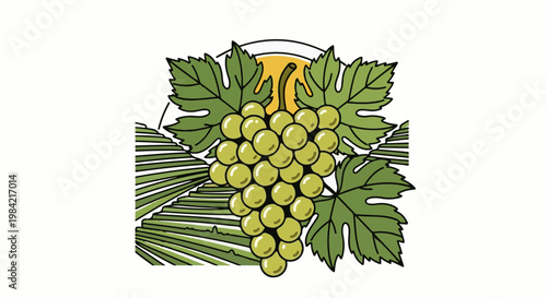 Green grapes hang heavily on a vine with large leaves