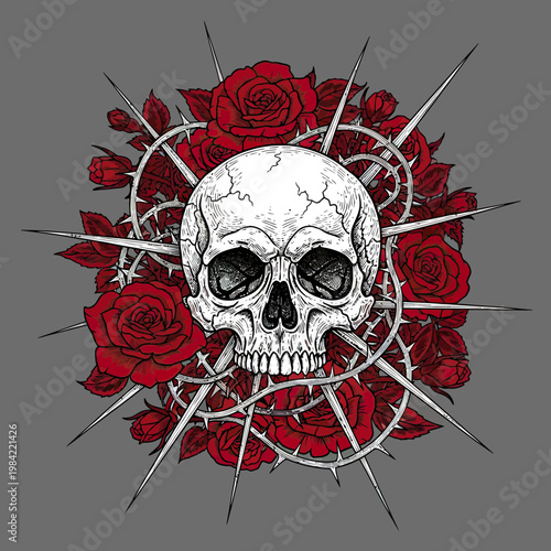 Human Skull Surrounded by Red Roses and Sharp Thorns Gothic Vector Illustration
