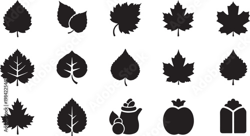 Collection of black leaf and fruit silhouettes icons