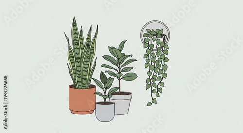 Three potted plants with varying leaf patterns and a hanging plant on a light green background for interior design and decor inspiration