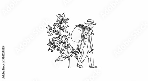 Man in hat carries sack of beans next to coffee plant in outline