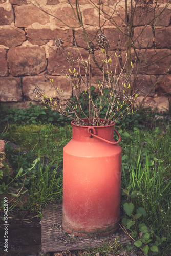 Rustic clay pot brings life to a garden with budding plants against an old stone wall in the warm afternoon sun