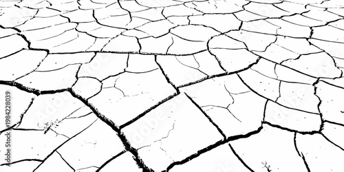 Dry cracked earth texture with large polygon patterns abstract desert soil background.