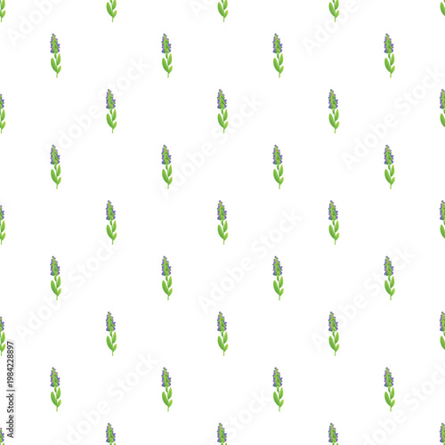 Lavender flowers forming a light purple and green seamless botanical pattern