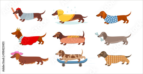 Cute dachshund characters in outfits and activities set. Flat vector illustration of sausage dogs wearing clothes, costumes and accessories in playful lifestyle scenes.