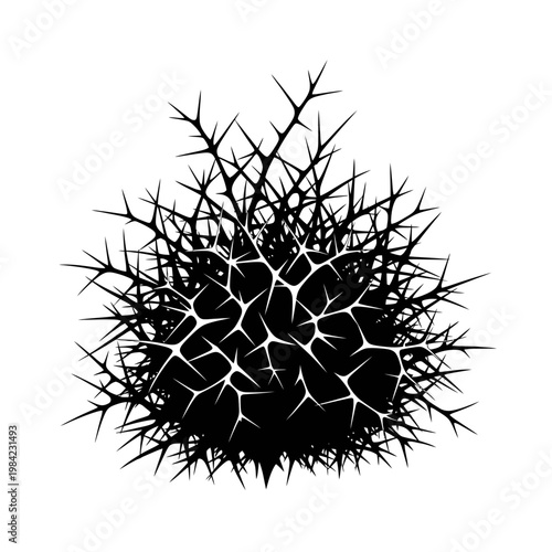 Black and White Vector Silhouette of a Thorny Tumbleweed Bush or Spiky Bramble Isolated on White Background