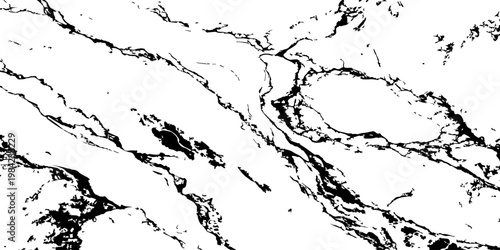 Abstract white marble texture with dramatic black veins premium natural stone background.