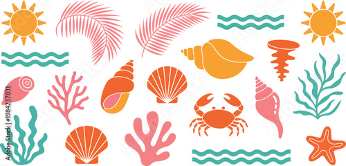 Summer beach elements set with tropical palm leaves sea shells sun icons and aquatic life icons isolated on transparent background.