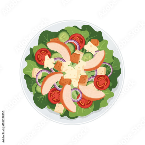 Top-down vector illustration of a chicken Caesar salad on a white plate, featuring sliced grilled chicken breast, fresh green lettuce, cherry tomatoes, cucumbers, red onions, and croutons.