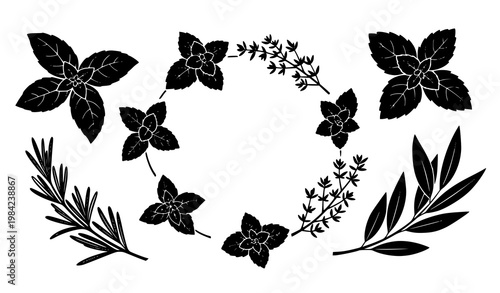 Herb and spice leaves silhouette wreath vector set with basil mint thyme rosemary and bay decorative frame