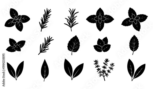 Herb and spice leaves silhouette vector set with basil mint rosemary thyme and bay leaf shapes isolated on white