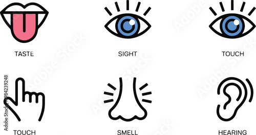 Human senses vector icon set with taste, sight, touch, smell, and hearing in a clean line art style.