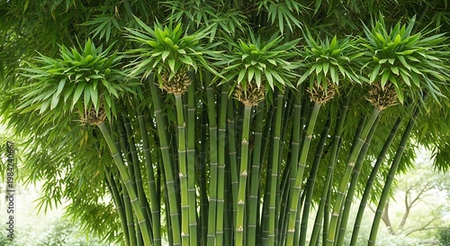 Close-up of vibrant green palm fronds reaching towards the sky illustration