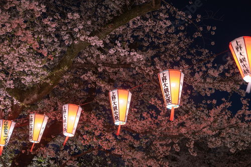 Festival lanterns and cherry blossoms at night in Ueno, Tokyo, Japan