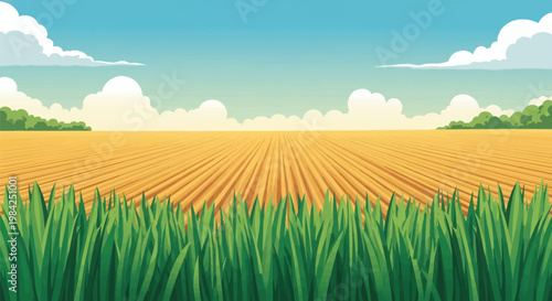 Wide-angle vector illustration of a golden agricultural wheat field with tilled furrows under a blue sky with fluffy white clouds, green grass in foreground, and distant trees.