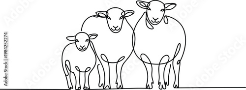 Sheep family line art illustration farm animals livestock group standing together minimal outline rural agriculture nature domestic grazing scene