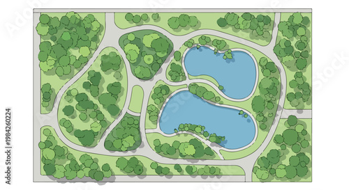 Top view landscape park plan, architectural garden design with ponds and trees, urban green space map illustration in EPS format