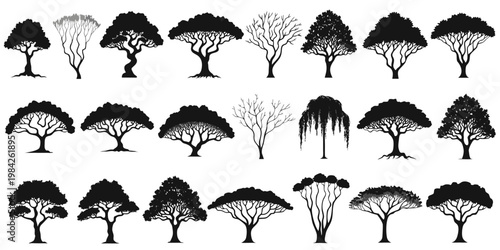 Assorted silhouettes of mature broad-leaved trees with intricate branches and full canopies silhouette branches botanical illustration isolated landscape seasonal deciduous