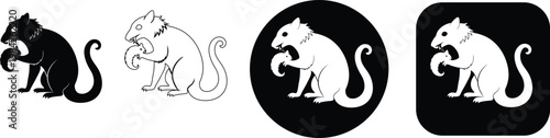 Set of heraldic squirrel icons in various styles including silhouette, outline, circle, and rounded square, real image, no blur, clear image, hd, full hd, photos, isolated white background.