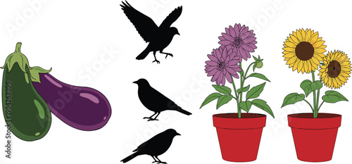 Potted Flower, Sunflower, Eggplant, and Bird Vector Set with Garden Plants, Wildlife, and Editable Nature and Botanical Illustrations for Outdoor and Home Decor Designs