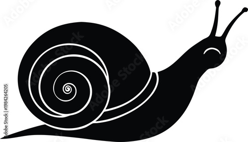 Snail animal shell graphic icon vector