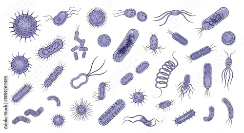 Diverse collection of purple bacteria and virus microorganisms shown in various shapes like cocci and bacilli for scientific study or education.