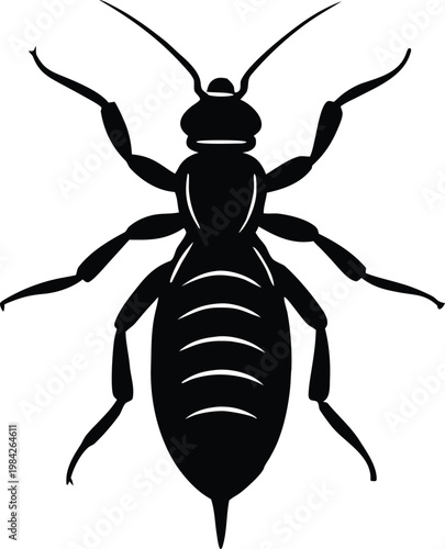 Cockroach insect pest bug animal symbol graphic